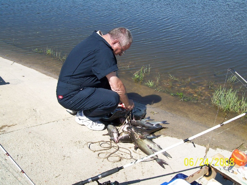 catfish at deep water ramp near Mandaree