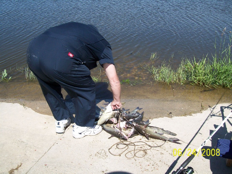 catfish near Four Bears Village