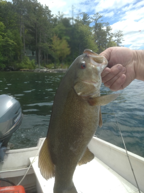 Lake Winnipesaukee, NH Fishing Report ND Fish Finder