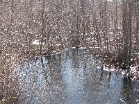 Click to View Full Size