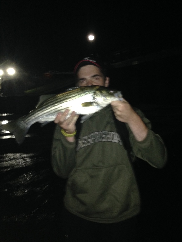 Striper at the Boat Club